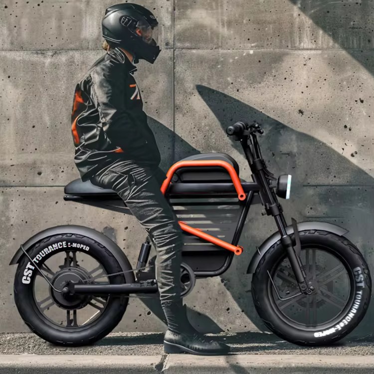 60V 20Ah WideTire Elektromotor – Commuting With Road Bike Bewertung und Preis