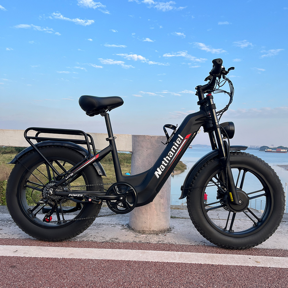 Integriertes E-Bike mit Dual-D – Commuting With Road Bike Bewertung und Preis